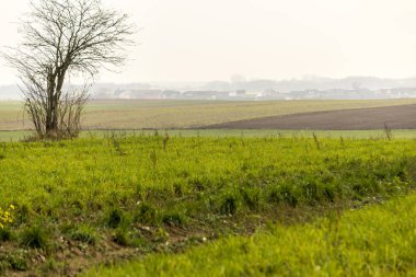 Geç sonbaharda. Çayırlar ve ön planda sürülmüş alanlar. Köy içinde belgili tanımlık geçmiş. Site agroindustry, tarım, hava durumu, mevsim, sanat, romantizm hakkında. 