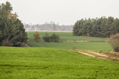 Geç sonbaharda. Çayırlar ve ön planda sürülmüş alanlar. Köy içinde belgili tanımlık geçmiş. Site agroindustry, tarım, hava durumu, mevsim, sanat, romantizm hakkında. 