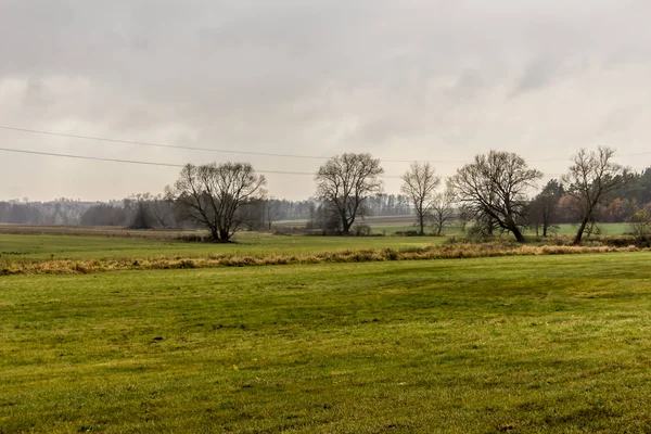 Geç sonbaharda. Biçilmiş alan ve çayırlar. Ağaçların yaprakları ve orman içinde belgili tanımlık geçmiş siste olmadan. Tarım hakkında site. : Podlaskie, Poland.