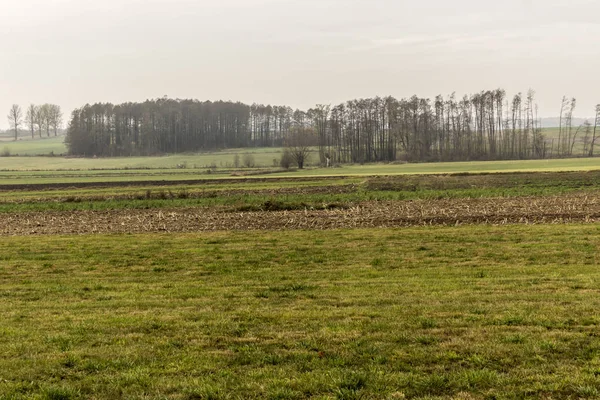 Geç sonbaharda. Biçilmiş alan ve çayırlar. Ağaçların yaprakları ve orman içinde belgili tanımlık geçmiş siste olmadan. Tarım hakkında site. : Podlaskie, Poland.