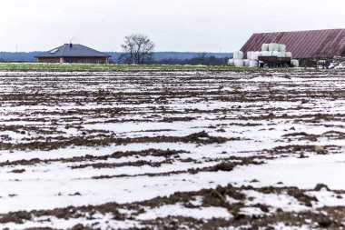 Biraz kar sürülmüş alan ve mera üzerinde. Ev ve ahır içinde belgili tanımlık geçmiş. Kış başında Avrupa'da.
