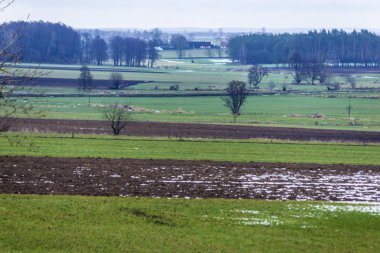 Biraz kar alanları ve yeşil otlaklar. Orman ve mandıra içinde belgili tanımlık geçmiş. Kış başında Avrupa'da.