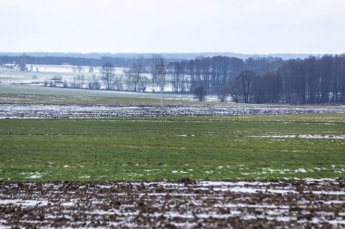 Biraz yeşil çayırlar ve sürülmüş alanlar günü kar 's. Tarlanın ortasında ayağı ve elektrik telleri vardır. Kış başında Avrupa'da.