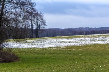 Ağaçlar yeşil çayır üzerinde biraz kar yatıyor kuşatır. Orman içinde belgili tanımlık geçmiş. Kış başında Avrupa'da.