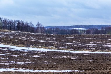 Sürülmüş sahada biraz kar yatıyor. Karanlık orman alanları çevreleyen. Kış başında Avrupa'da.