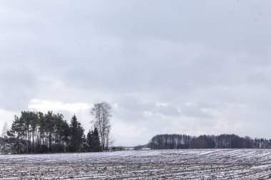 Sürülmüş sahada biraz kar yatıyor. Karanlık orman alanları çevreleyen. Kış başında Avrupa'da.
