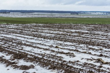 Sürülmüş sahada biraz kar yatıyor. Karanlık orman alanları çevreleyen. Kış başında Avrupa'da.