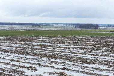 Sürülmüş sahada biraz kar yatıyor. Karanlık orman alanları çevreleyen. Kış başında Avrupa'da.