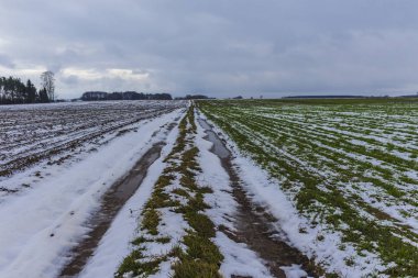 Tarıma elverişli arazi ve çayır arasında ülke yolda bazı kar var. Yolda su birikintileri. Orman içinde belgili tanımlık geçmiş. Kış başında Avrupa'da.