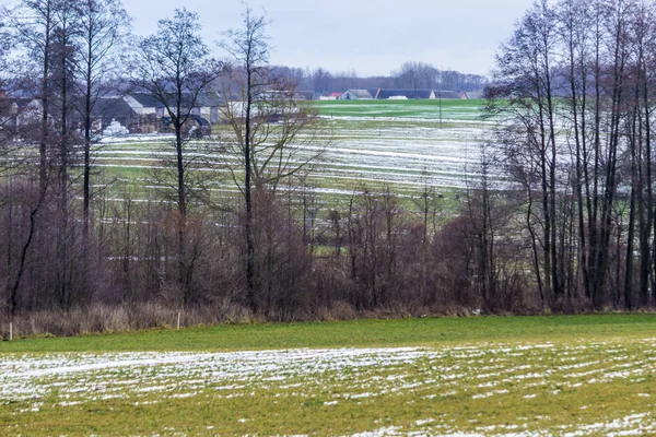 Small Strips Snow Plowed Fields Meadows Forest Dairy Farm Background — Stock Photo, Image