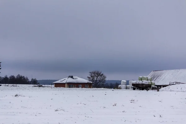 Snow Plowed Field Pasture House Barn Background Beginning Winter Europe — Stock Photo, Image