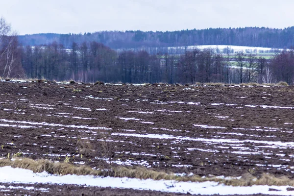 耕した畑に雪のビットがあります 暗い森では フィールドを囲みます ヨーロッパの冬の始まり — ストック写真