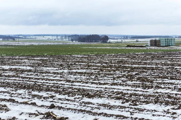Sürülmüş sahada biraz kar yatıyor. Karanlık orman alanları çevreleyen. Kış başında Avrupa'da.