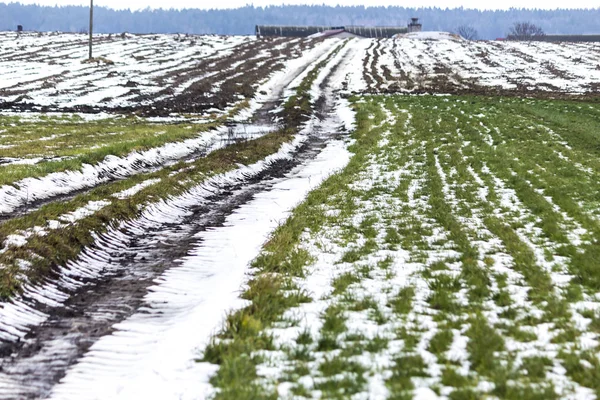 耕地と牧草地の田舎道に雪があります 道路上の水たまり バック グラウンドでのファーム ヨーロッパの冬の始まり — ストック写真