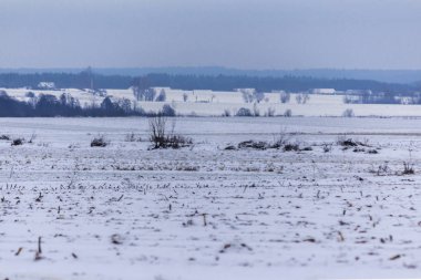 Kar kaplı alanlar ve çayırlar. Karanlık ormanın içinde belgili tanımlık geçmiş. Kış başında Avrupa'da.