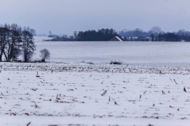 Kar kaplı alanlar ve çayırlar. Karanlık ormanın içinde belgili tanımlık geçmiş. Kış başında Avrupa'da.