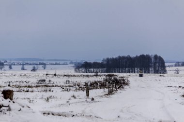 Kar kaplı alanlar ve çayırlar. Köy ve süt çiftlikleri içinde belgili tanımlık geçmiş. Kış başında Avrupa'da.