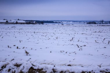 Kar kaplı alanlar ve çayırlar. Köy ve süt çiftlikleri içinde belgili tanımlık geçmiş. Kış başında Avrupa'da.