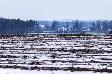 Kar alanları kaplı. Kar üzerinden sıkıştırılmış Mısır göz kökleri. Köy ve çiftlikleri içinde belgili tanımlık geçmiş. Kış başında Avrupa'da.