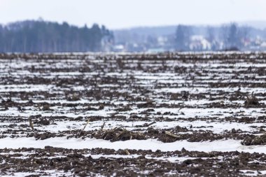 Kar alanları kaplı. Kar üzerinden sıkıştırılmış Mısır göz kökleri. Köy ve çiftlikleri içinde belgili tanımlık geçmiş. Kış başında Avrupa'da.