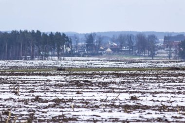 Kar alanları kaplı. Kar üzerinden sıkıştırılmış Mısır göz kökleri. Köy ve çiftlikleri içinde belgili tanımlık geçmiş. Kış başında Avrupa'da.
