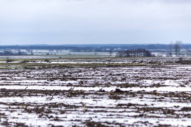 Kar alanları kaplı. Kar üzerinden sıkıştırılmış Mısır göz kökleri. Köy ve çiftlikleri içinde belgili tanımlık geçmiş. Kış başında Avrupa'da.