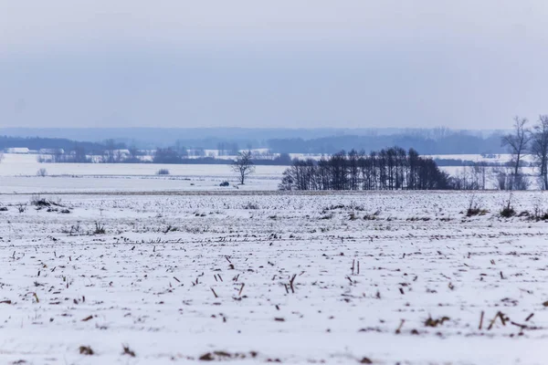 Neve Cobriu Campos Prados Floresta Escura Fundo Início Inverno Europa — Fotografia de Stock