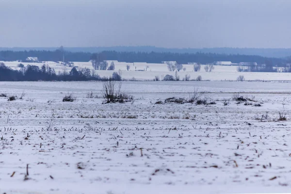 Kar kaplı alanlar ve çayırlar. Karanlık ormanın içinde belgili tanımlık geçmiş. Kış başında Avrupa'da.