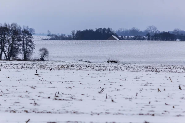 Kar kaplı alanlar ve çayırlar. Karanlık ormanın içinde belgili tanımlık geçmiş. Kış başında Avrupa'da.