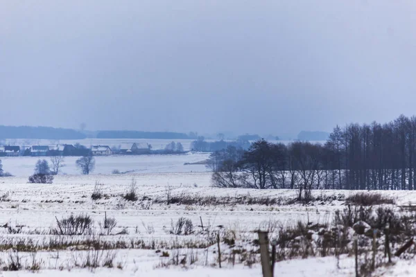 Kar kaplı alanlar ve çayırlar. Köy ve süt çiftlikleri içinde belgili tanımlık geçmiş. Kış başında Avrupa'da.