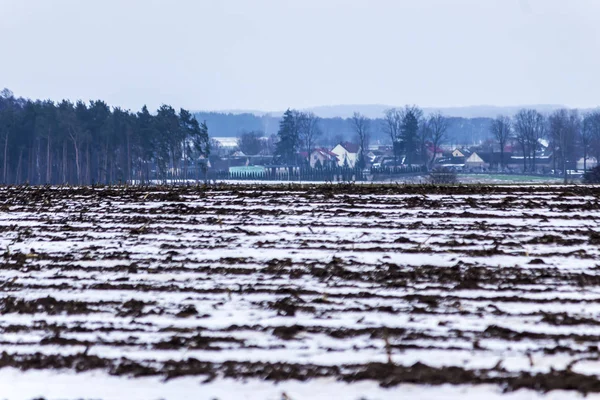 Kar alanları kaplı. Kar üzerinden sıkıştırılmış Mısır göz kökleri. Köy ve çiftlikleri içinde belgili tanımlık geçmiş. Kış başında Avrupa'da.