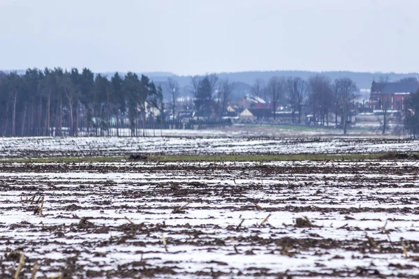 Kar alanları kaplı. Kar üzerinden sıkıştırılmış Mısır göz kökleri. Köy ve çiftlikleri içinde belgili tanımlık geçmiş. Kış başında Avrupa'da.