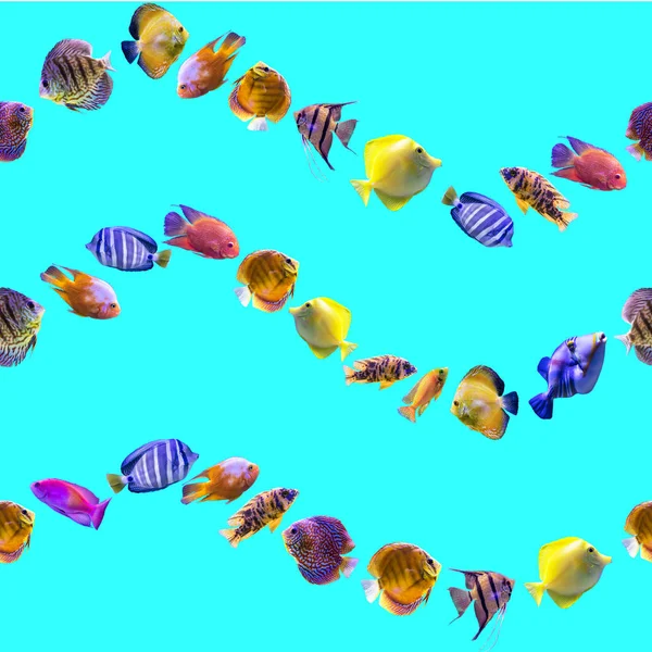 Хвилястий Безшовний Візерунок Різні Риби Синьому Фоні Сайт Про Природу — стокове фото