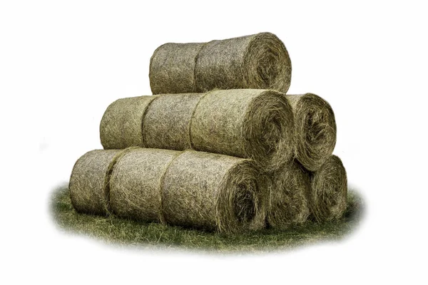 Stacked Pyramid Bales Straw Tightened Mesh Feed Bedding Livestock Dairy — Stock Photo, Image