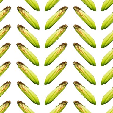 Raster seamless modeli. Mısır beyaz zemin üzerinde bir kulak. Site hakkında tarım, tarım, Hayvancılık, grafik.