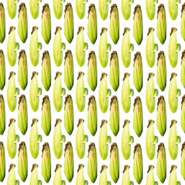 Raster dikey seamless modeli. Beyaz bir arka plan üzerinde mısır koçanı. Site hakkında tarım, tarım, Hayvancılık, grafik.