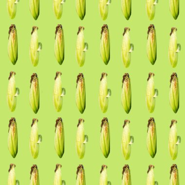 Raster seamless modeli. Mısır yeşil bir arka plan üzerinde bir kulak. Site hakkında tarım, tarım, Hayvancılık, grafik.