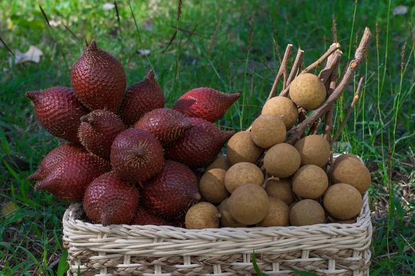 Longan and snake fruit in a wicker basket on a green lawn