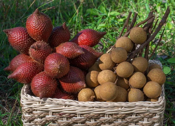 Longan and snake fruit in a wicker basket on a green lawn in garden