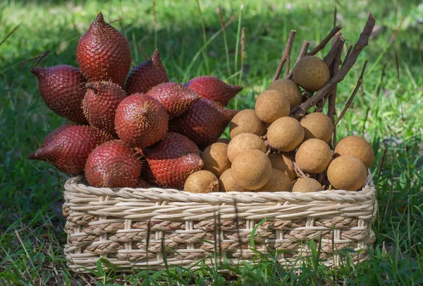 Yeşil çim üzerinde bir hasır sepet Longan ve yılan meyve