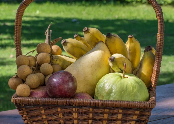 Tropikal meyve sepeti yeşil çim üzerinde bol