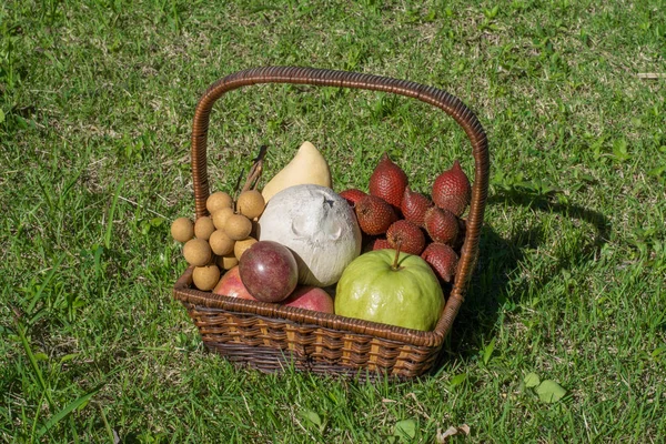 Tropikal meyve sepeti yeşil çim üzerinde bol