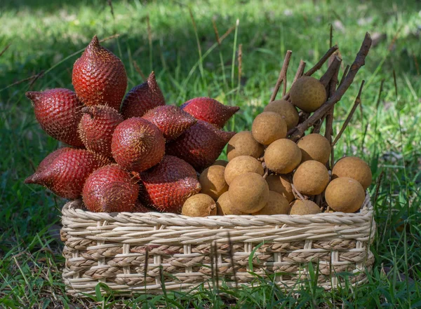 Longan ve yılan meyve bahçesinde bir yeşil çim üzerinde bir hasır sepet