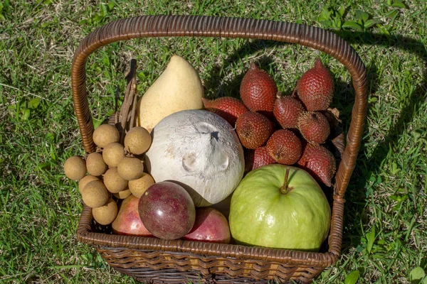 Un montón de frutas tropicales en la cesta en el césped verde —  Fotos de Stock