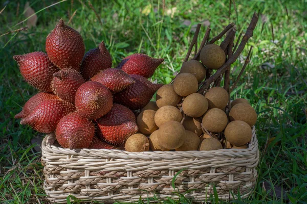Yeşil çim üzerinde bir hasır sepet Longan ve yılan meyve