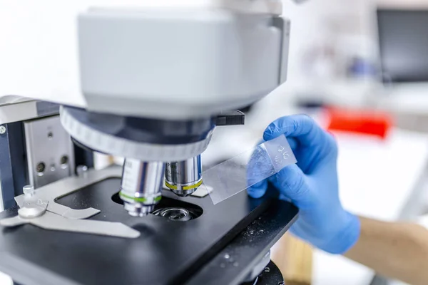 Man in a laboratory microscope with microscope slide in hand.  Young scientist doing some research. Male researcher using her microscope in a laboratory