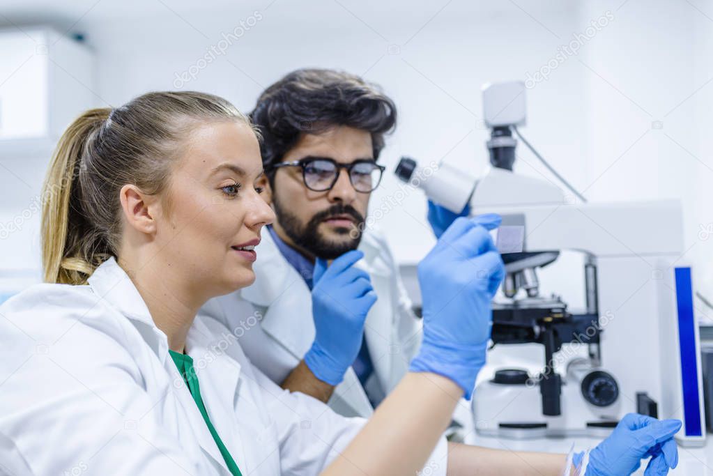 Two young pharmacist examining liquid sample. Two pharmacist communicating while working on research in a laboratory. science, chemistry, technology, biology and people concept
