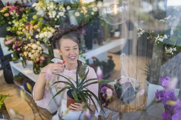 Vista Através Das Vitrines Linda Florista Menina Cuida Abacaxi Alegre — Fotografia de Stock