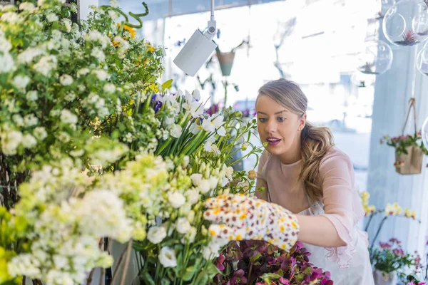 Profesyonel Çiçekçi Çiçek dükkanında çalışıyor. Çiçekçi dükkanı gün ışığında. Güzel buket çiçek tutan kadın. Onun iş ile çiçekçi