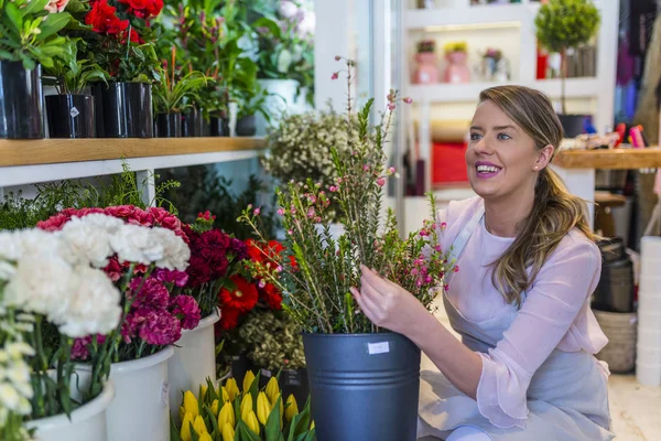 Shop assistant touching wonderful flowers, looking at flowers. Entrepreneur florist at checkout with flower arrangements in shop